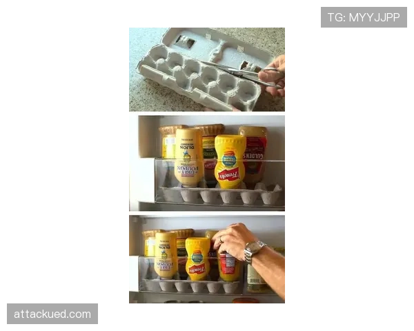 周冠宇的冰箱里只有蛋白粉和冰水，连瓶可乐都找不到